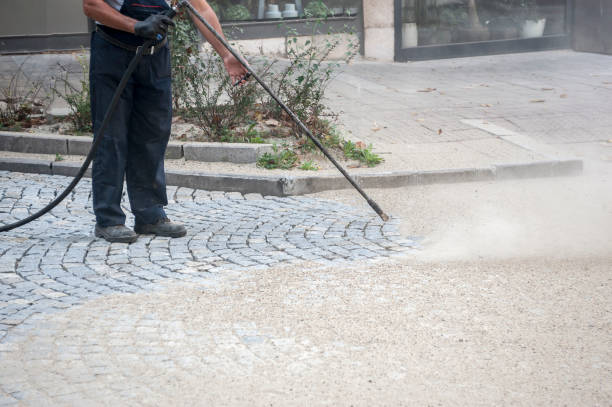 Best Roof Cleaning and Mildew Removal in New Glarus, WI